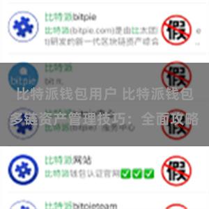 比特派钱包用户 比特派钱包多链资产管理技巧：全面攻略