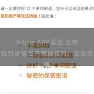 Bitpie APP直连 比特派钱包多链资产管理技巧：全面攻略