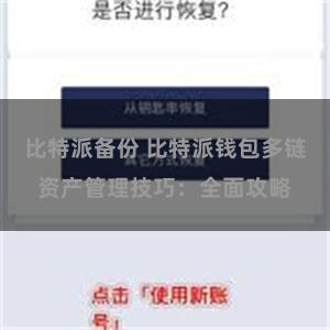 比特派备份 比特派钱包多链资产管理技巧：全面攻略