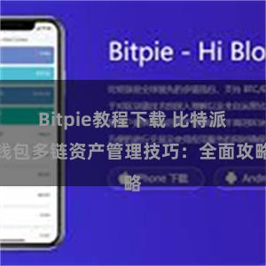 Bitpie教程下载 比特派钱包多链资产管理技巧：全面攻略