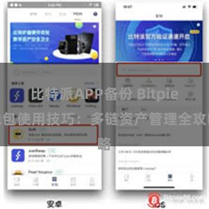 比特派APP备份 Bitpie钱包使用技巧：多链资产管理全攻略