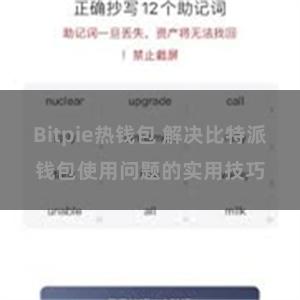 Bitpie热钱包 解决比特派钱包使用问题的实用技巧