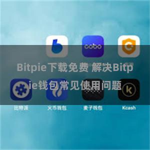 Bitpie下载免费 解决Bitpie钱包常见使用问题