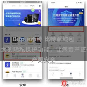 Bitpie币种 比特派钱包：强大的隐私保护功能，让您资产更安全