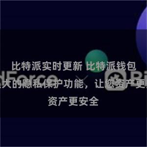 比特派实时更新 比特派钱包：强大的隐私保护功能，让您资产更安全