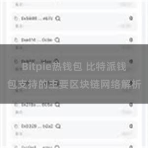 Bitpie热钱包 比特派钱包支持的主要区块链网络解析