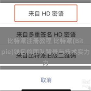 比特派注册教程 比特派(Bitpie)钱包的团队背景与技术实力