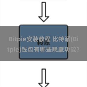 Bitpie安装教程 比特派(Bitpie)钱包有哪些隐藏功能？