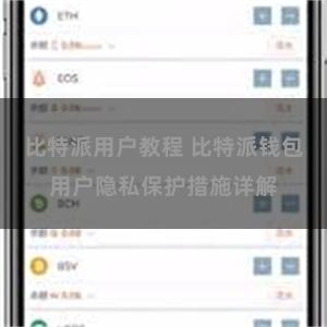 比特派用户教程 比特派钱包用户隐私保护措施详解