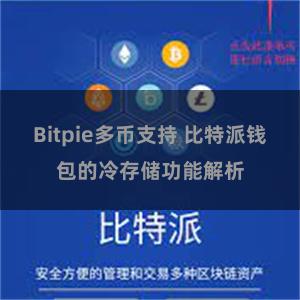 Bitpie多币支持 比特派钱包的冷存储功能解析