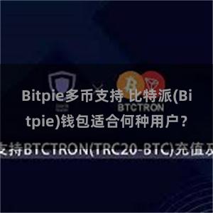 Bitpie多币支持 比特派(Bitpie)钱包适合何种用户？