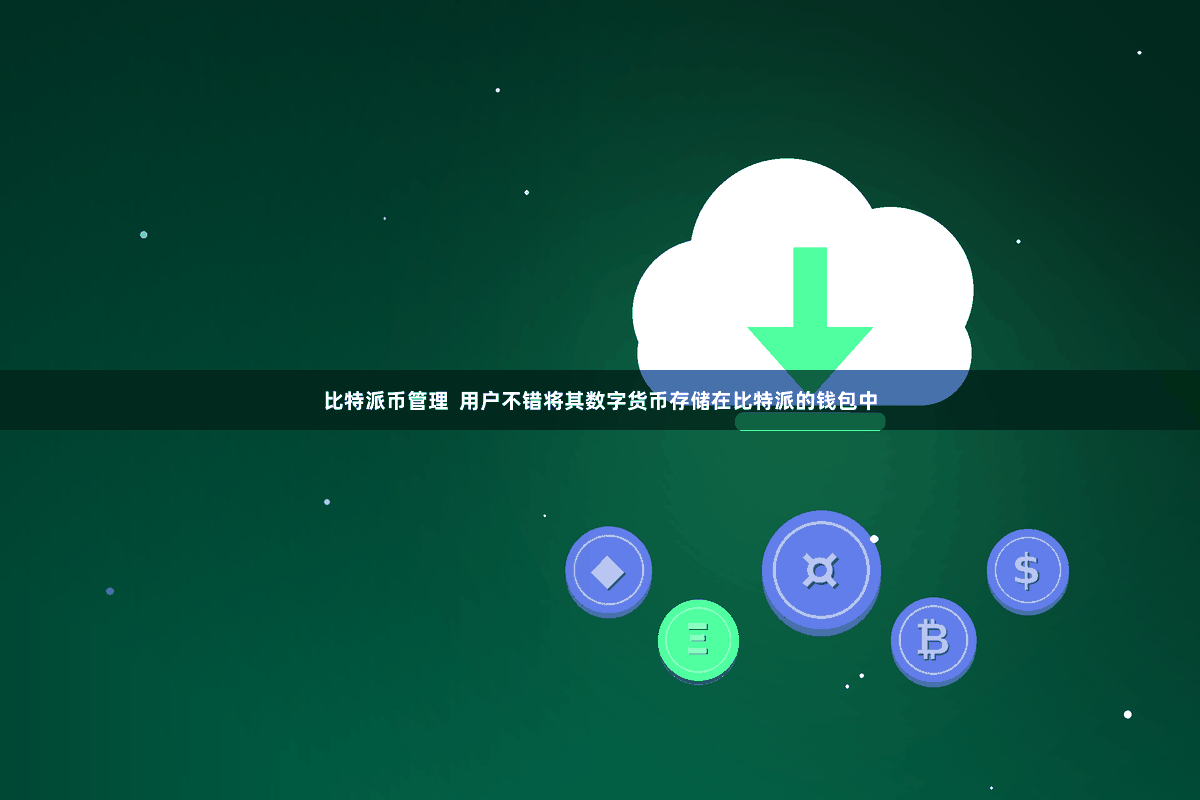 比特派币管理  用户不错将其数字货币存储在比特派的钱包中